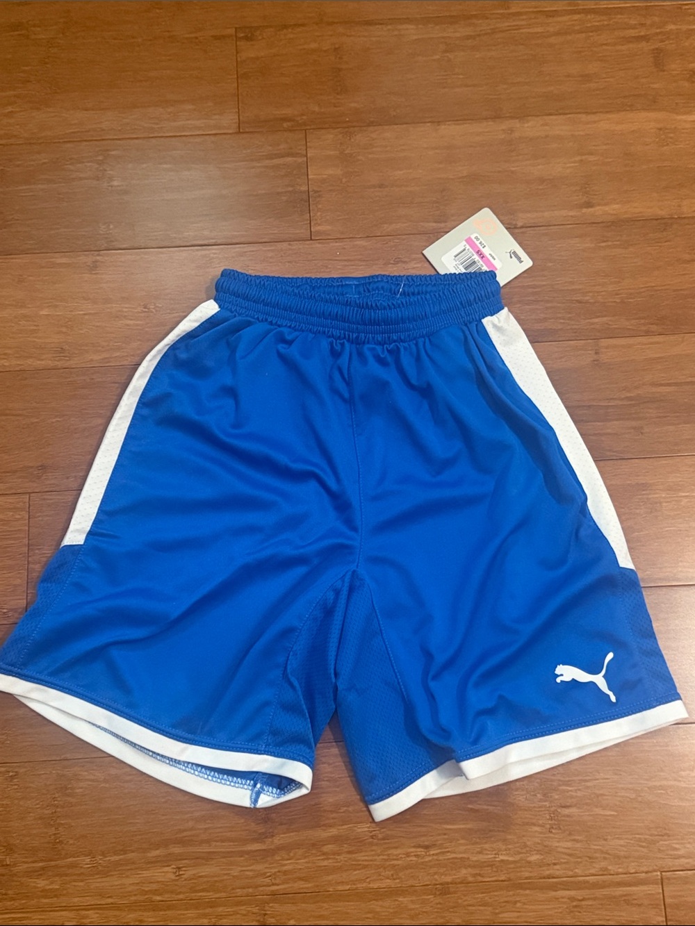 NWT Puma Royal Blue Athletic Shorts with White Trim